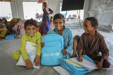 Financial Insights: UNICEF's Annual Report .